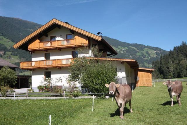 Gaestehaus Hauser Hainzenberg Extérieur photo